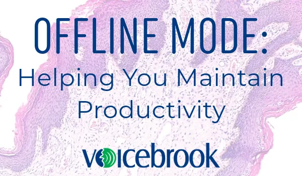 The Power of Offline Mode: Ensuring Smooth Operations in Any Scenario